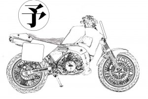 TDR02