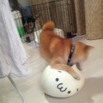 s-IMG_4097