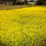s-IMG_4223