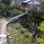 s-IMG_4226