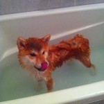 s-IMG_4558