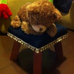 s-IMG_4726