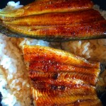 s-IMG_6134