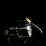 s-IMG_7966