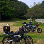 s-IMG_7979